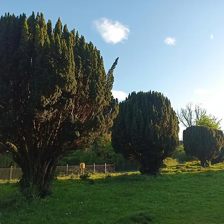 Rum i privatbostad Sean's