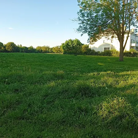 Privatunterkunft Sean's Blackrock (Dublin)