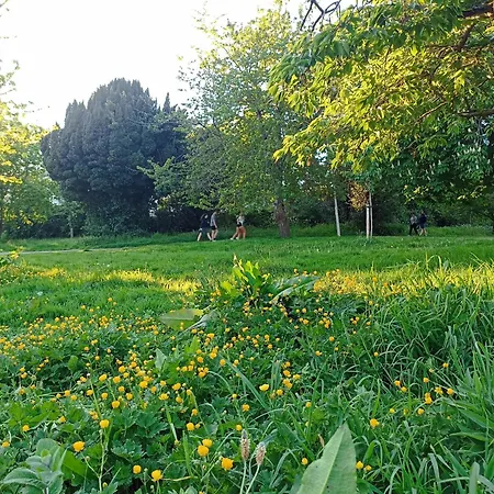 Privatunterkunft Sean's Blackrock (Dublin)