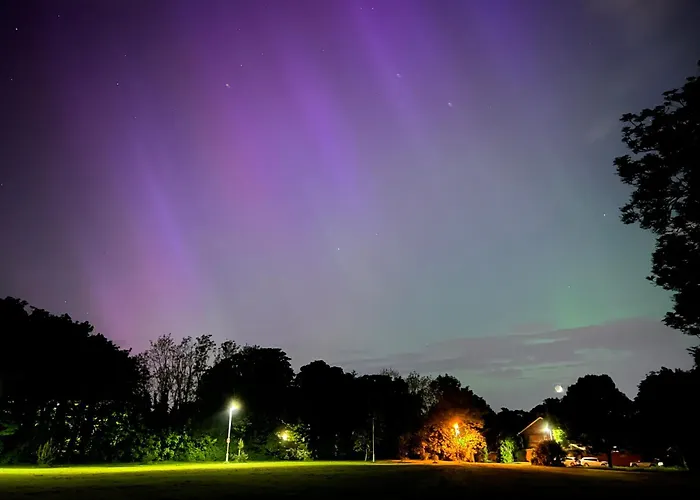 Sean's Проживание в семье Блэкрок