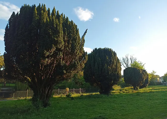 Проживание в семье Sean's