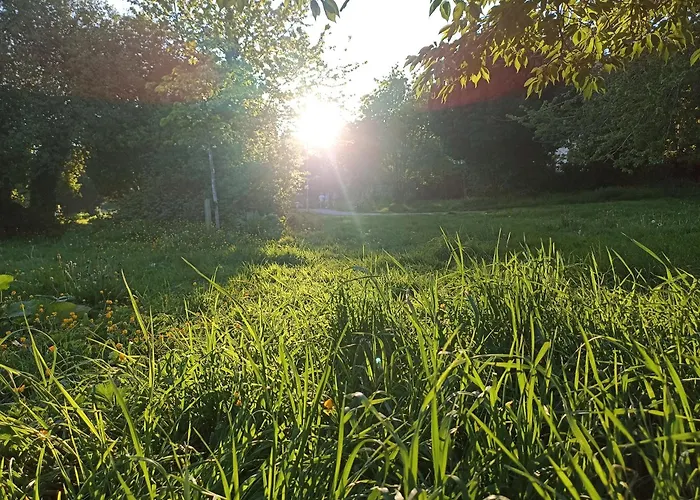 Sean's Проживание в семье