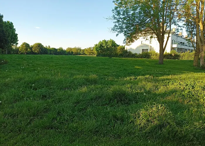 Проживание в семье Sean's Блэкрок