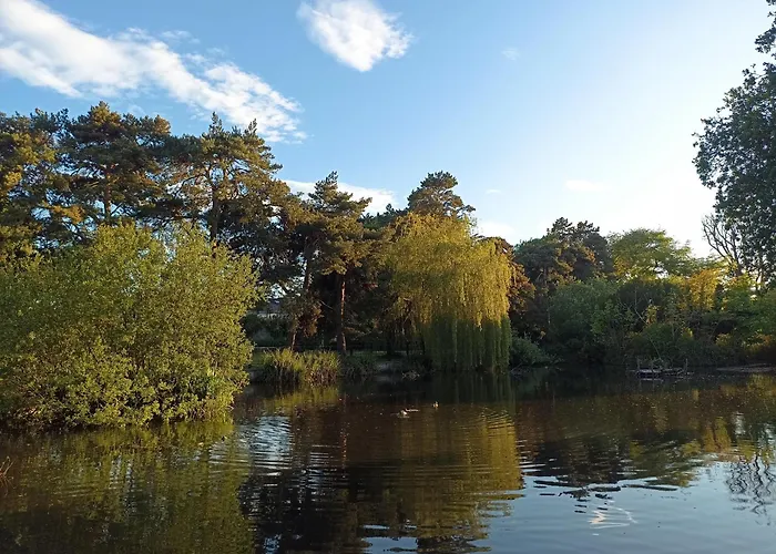 Проживание в семье Sean's Блэкрок